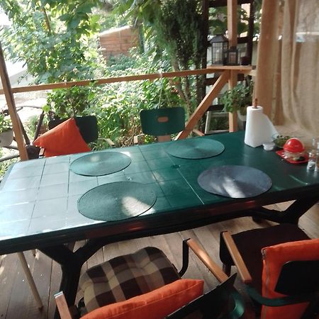 Casa Mocanu Джурджу Экстерьер фото
