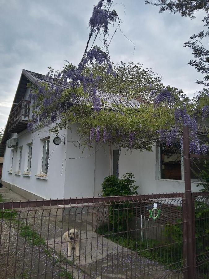 Casa Mocanu Джурджу Экстерьер фото